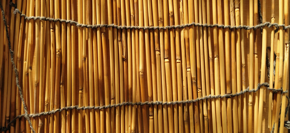 Comment fabriquer un brise-vue en bambou : pas à pas